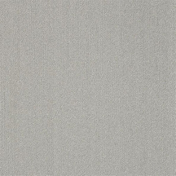 Picture of Philadelphia Commercial by Shaw - Color Accents 24 x 24 Silver