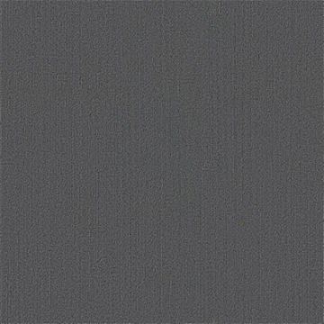 Picture of Philadelphia Commercial by Shaw - Color Accents 24 x 24 Slate