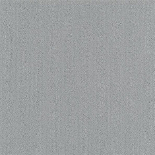 Picture of Philadelphia Commercial by Shaw - Color Accents 24 x 24 Sterling