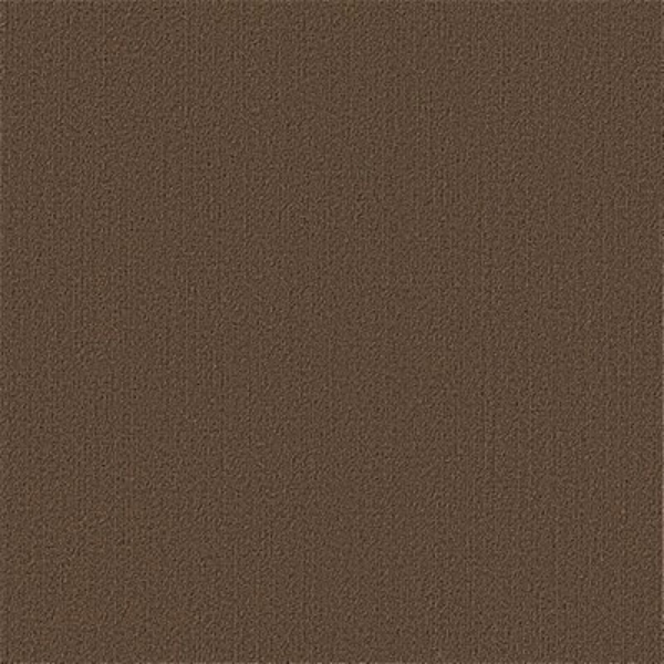 Picture of Philadelphia Commercial by Shaw - Color Accents 24 x 24 Suede