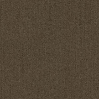 Picture of Philadelphia Commercial by Shaw - Color Accents 24 x 24 Timber