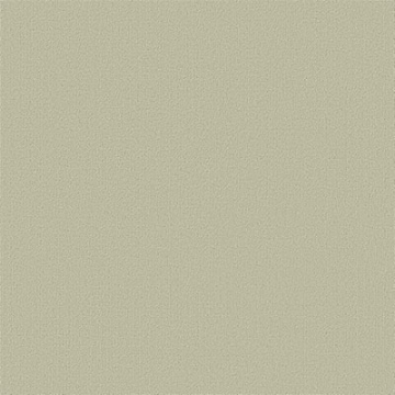 Picture of Philadelphia Commercial by Shaw - Color Accents 24 x 24 Tumbleweed