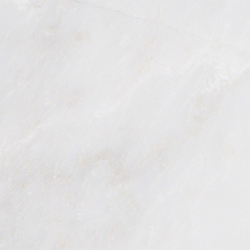 Picture of MS International - Marble 6 x 24 Polished Arabescato Carrara