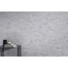 Picture of Emser Tile - Marble 3 x 6 Honed Bianco Gioia