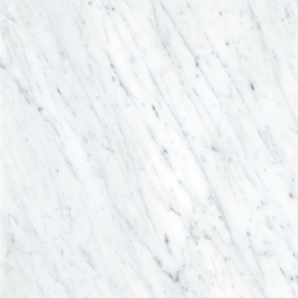 Picture of Emser Tile - Marble 18 x 18 Honed Bianco Gioia