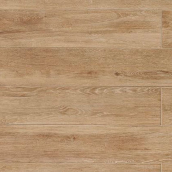 Picture of Cerdomus - Othello Cinnamon