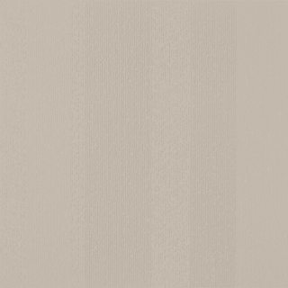 Picture of Johnsonite - Circulinity Fast Lane Castaway