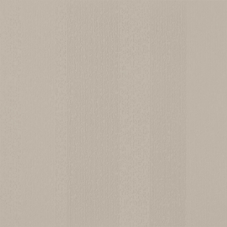 Picture of Johnsonite - Circulinity Fast Lane Macadamia