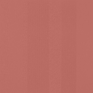 Picture of Johnsonite - Circulinity Fast Lane Spicy Chip