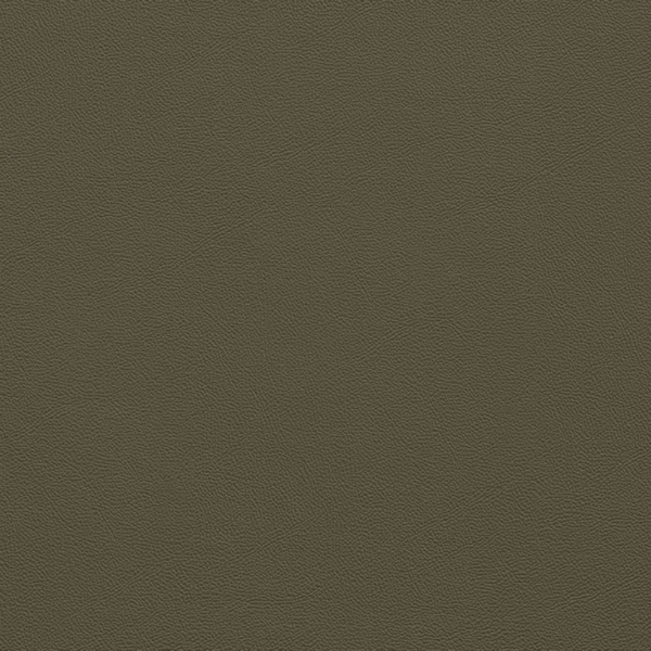 Picture of Johnsonite - Solid Colors Leather Boxwood