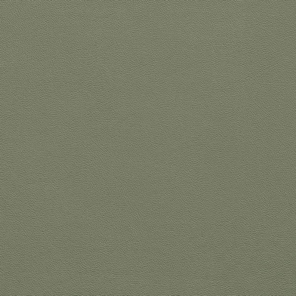 Picture of Johnsonite - Solid Colors Leather Glenhaven