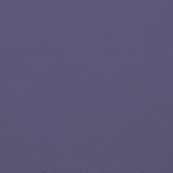 Picture of Johnsonite - Solid Colors Leather Grapest