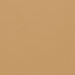 Picture of Johnsonite - Solid Colors Leather Sisal