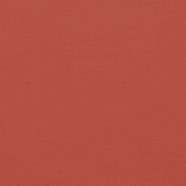 Picture of Johnsonite - Solid Colors Leather Spicy Chip