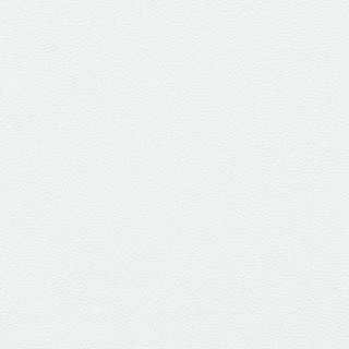 Picture of Johnsonite - Solid Colors Leather White