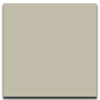 Picture of Johnsonite - Solid Colors Smooth 24 x 24 Castaway