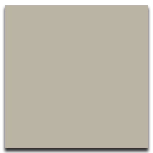 Picture of Johnsonite - Solid Colors Smooth 24 x 24 Macadamia
