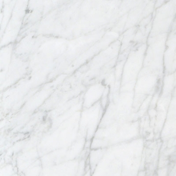 Picture of Stone Collection - Bianco Carrara 18 x 18 Bianco Carrara Honed