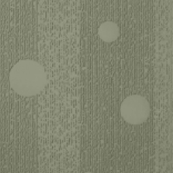 Picture of Johnsonite - Circulinity Effervescent Gecko