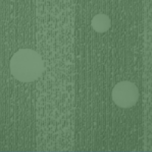 Picture of Johnsonite - Circulinity Effervescent Grinch