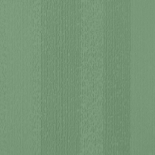 Picture of Johnsonite - Circulinity Fast Lane Grinch