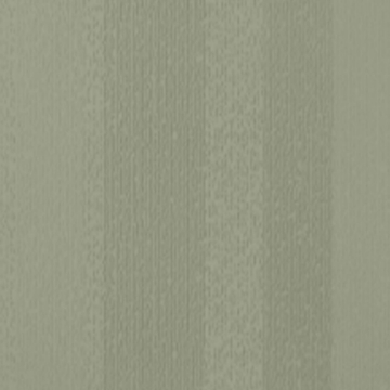 Picture of Johnsonite - Circulinity Fast Lane Gecko