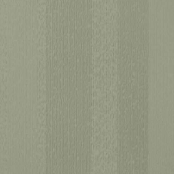 Picture of Johnsonite - Circulinity Fast Lane Gecko