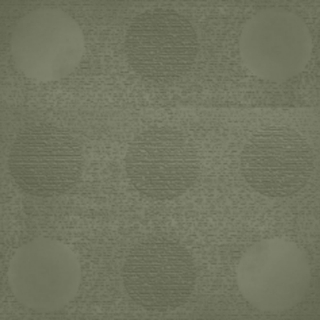 Picture of Johnsonite - Circulinity Tic-Tac-Toe Gecko