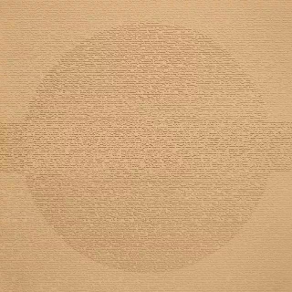 Picture of Johnsonite - Circulinity Round-A-Bout Mr Sunshine