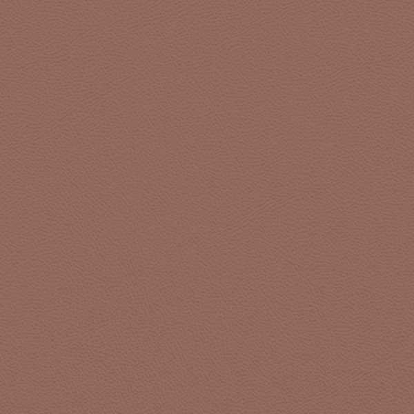 Picture of Johnsonite - Solid Colors Leather Misted Plum