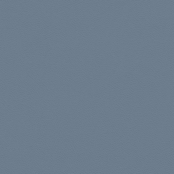 Picture of Johnsonite - Solid Colors Leather The Blues