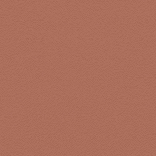 Picture of Johnsonite - Solid Colors Leather Sailor Red