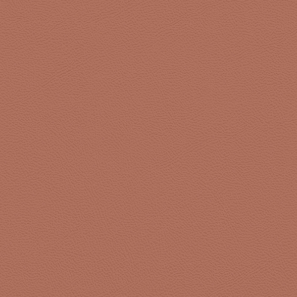Picture of Johnsonite - Solid Colors Leather Sailor Red