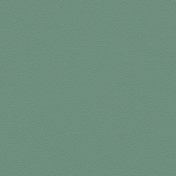 Picture of Johnsonite - Solid Colors Leather Grinch