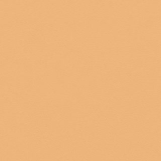 Picture of Johnsonite - Solid Colors Leather Mr Sunshine