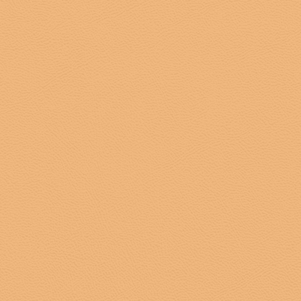 Picture of Johnsonite - Solid Colors Leather Mr Sunshine