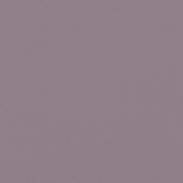 Picture of Johnsonite - Solid Colors Leather Shoreline Purple
