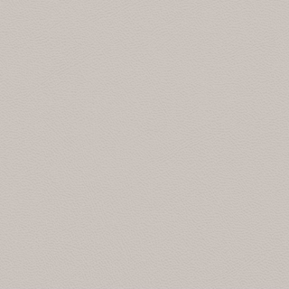 Picture of Johnsonite - Solid Colors Leather Whispering Mist