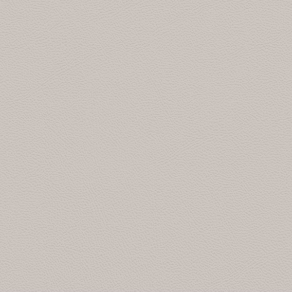 Picture of Johnsonite - Solid Colors Leather Whispering Mist