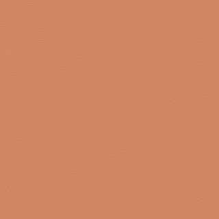 Picture of Johnsonite - Solid Colors Leather Hot Spice