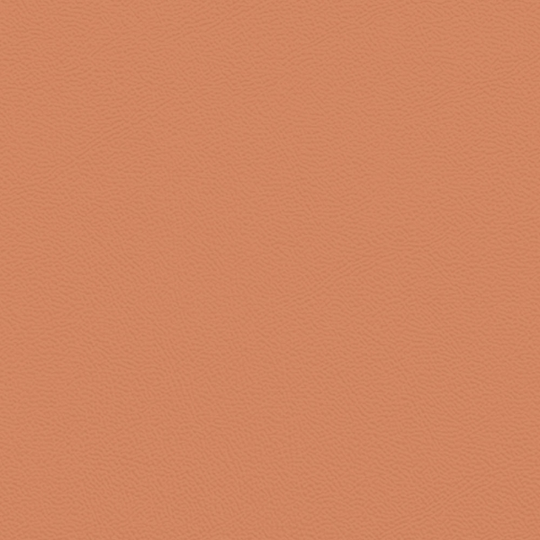 Picture of Johnsonite - Solid Colors Leather Hot Spice