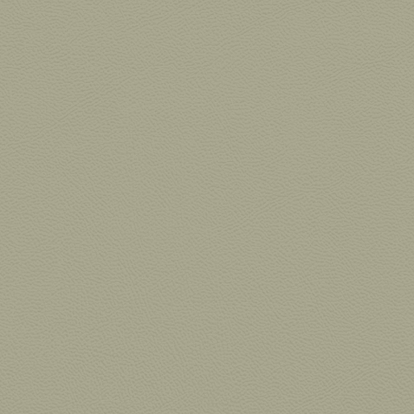 Picture of Johnsonite - Solid Colors Leather Gecko