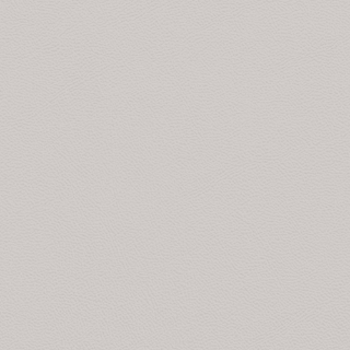 Picture of Johnsonite - Solid Colors Leather Mt Rainier