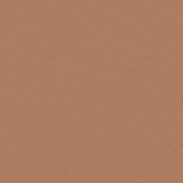 Picture of Johnsonite - Solid Colors Leather Red Clay