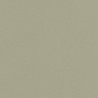 Picture of Johnsonite - Solid Colors Rice Paper Gecko