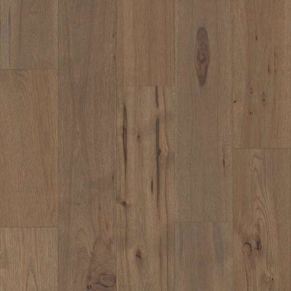 Picture of Shaw Floors - Castlewood Hickory Greyfriar