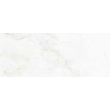 Picture of American Wonder Porcelain - Marble Folio 12 x 24 Matte Statuary