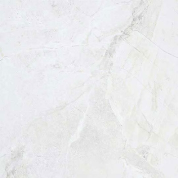 Picture of American Wonder Porcelain - Marble Folio 24 x 24 Matte Daino Reale