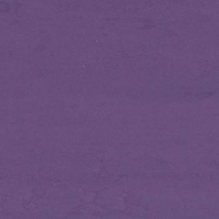 Picture of Altro - Dolce Essentials Basilica