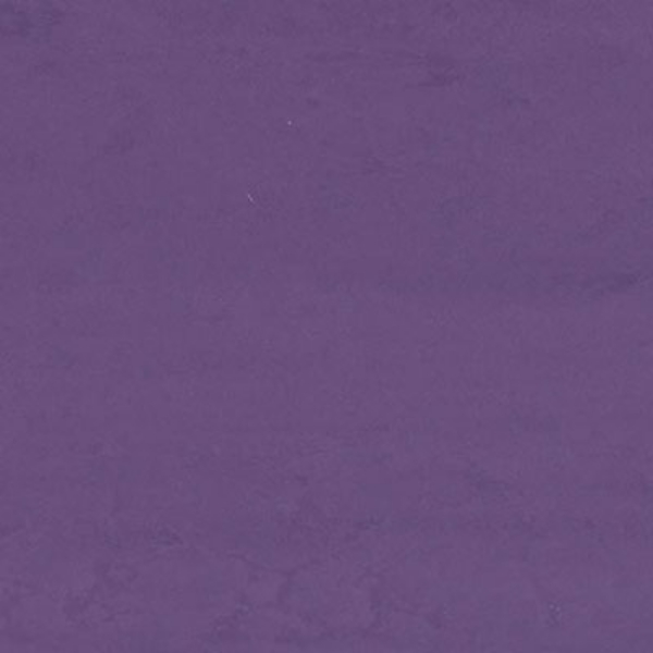 Picture of Altro - Dolce Essentials Basilica